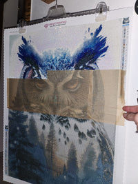 Kit Pintura com Diamantes - Coruja Noturna