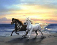Kit Pintura com Diamantes - Cavalos na praia