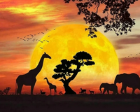 Kit Pintura com Diamantes - Safari no Entardecer