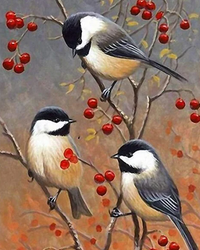 Kit Pintura com Diamantes - Passarinhos na arvore