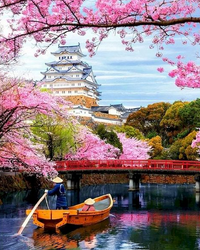 Kit Pintura com Diamantes - Castelo Japones