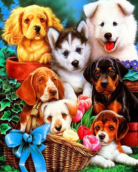 Kit Pintura com Diamantes - Filhotes de Cachorro