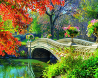 Kit Pintura com Diamantes - Ponte Florida