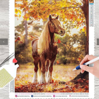 Kit Pintura com Diamantes - Cavalo