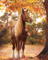 Kit Pintura com Diamantes - Cavalo