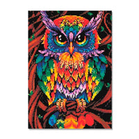 Kit Pintura com Diamantes - Coruja Colorida