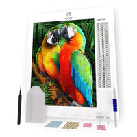 Kit Pintura com Diamantes - Papagaios Coloridos