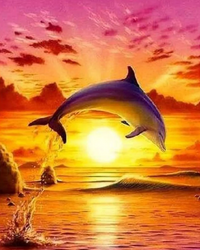 Kit Pintura com Diamantes - Golfinho Nascer do Sol