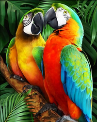 Kit Pintura com Diamantes - Papagaios Coloridos