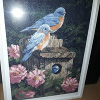 Kit Pintura com Diamantes - Passaros