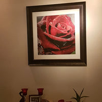 Kit Pintura com Diamantes - Rosa Vermelha