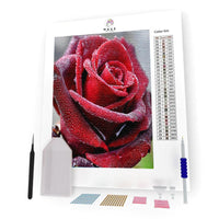 Kit Pintura com Diamantes - Rosa Vermelha