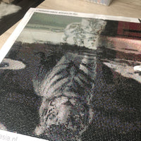 Kit Pintura com Diamantes - Tigre Branco