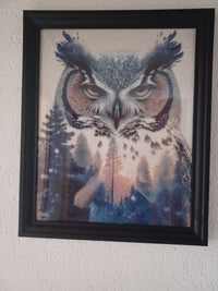 Kit Pintura com Diamantes - Coruja Noturna
