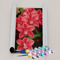 Kit Pintura Terapêutica  - Orquídea Rosa